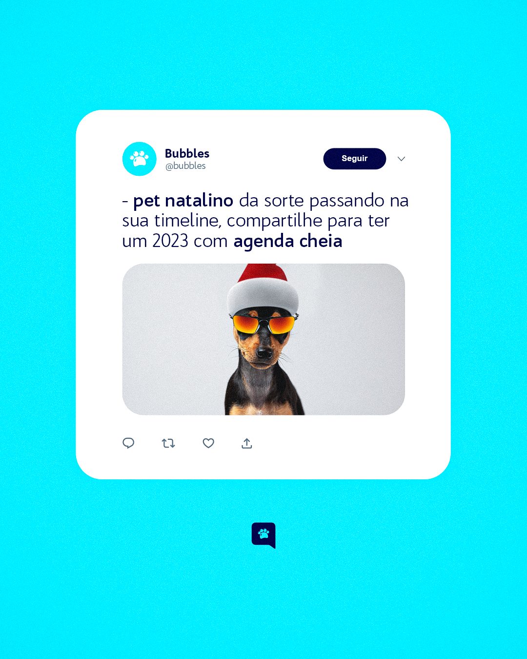 POST - PET NATALINO 2022