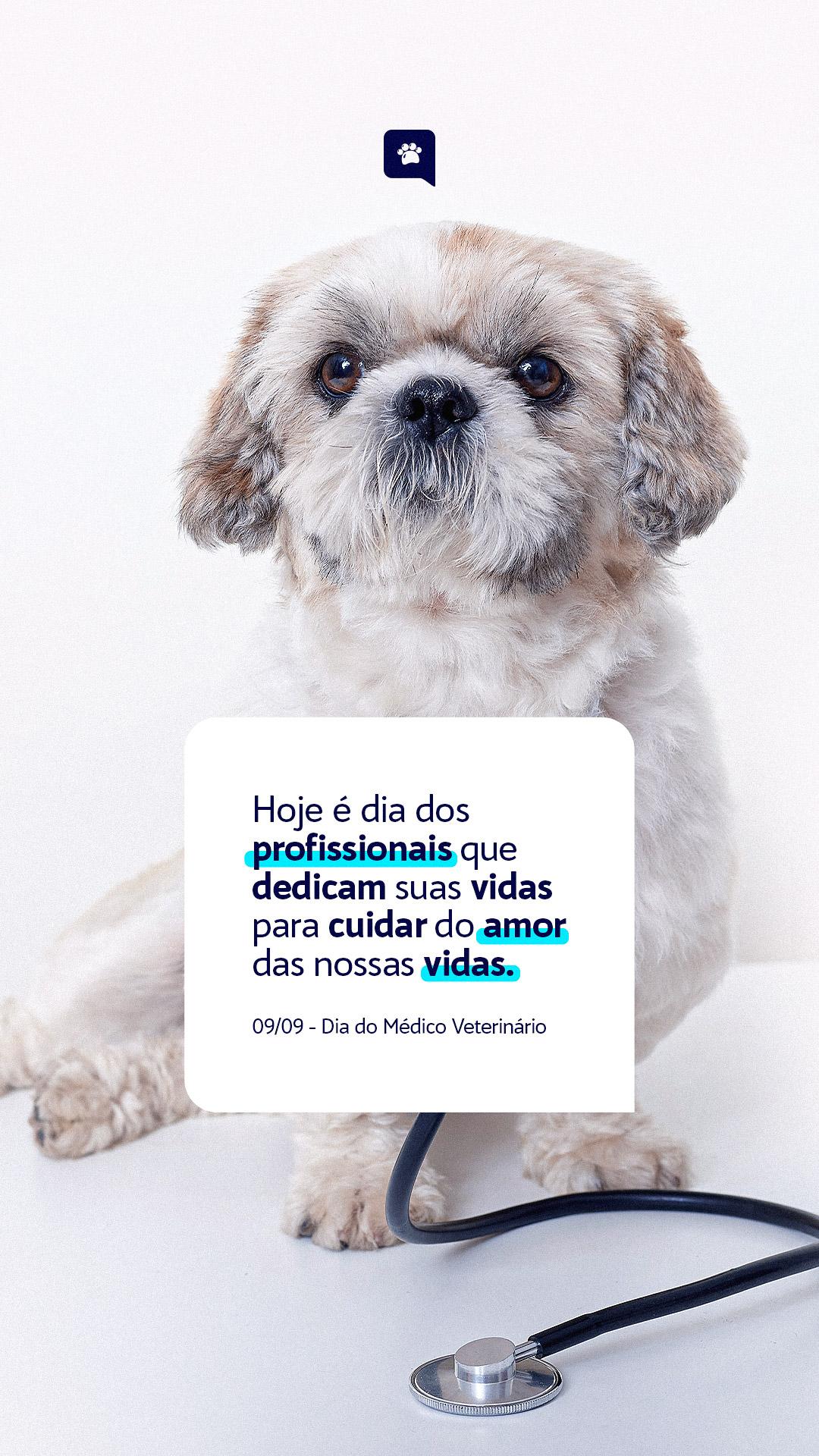 STORY - DIA DO VETERINÁRIO