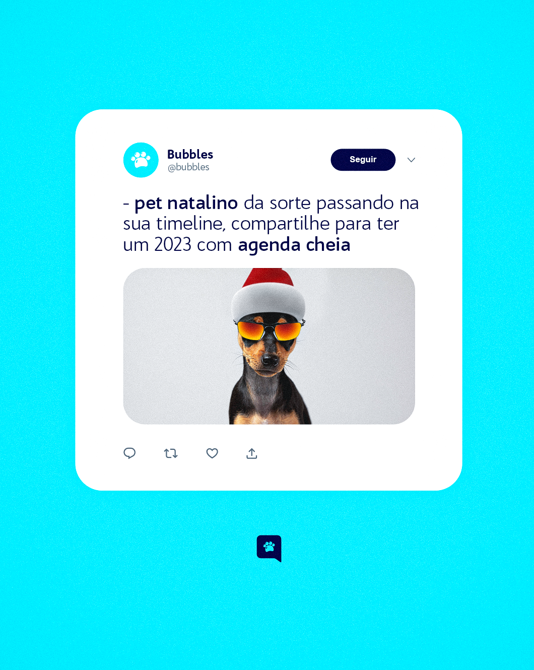 POST - PET NATALINO 2022