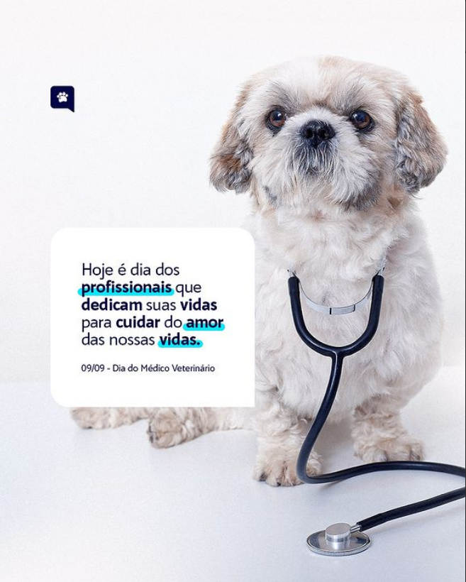 STORY - DIA DO VETERINÁRIO